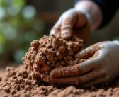 Découvrez tout sur MuddyClay.com : guide complet et astuces